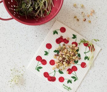 Swedish Cherries Dishcloth