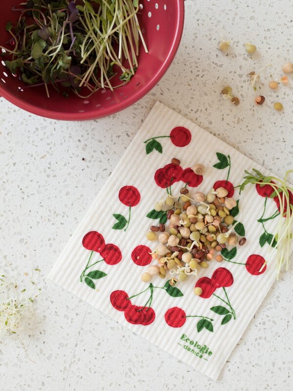 Danica Swedish Cherries Dishcloth