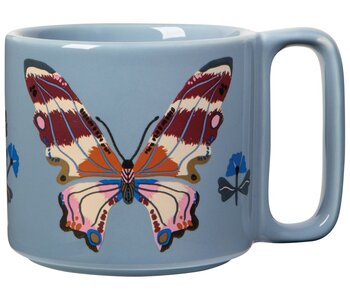 Aurora Kitchen Collection