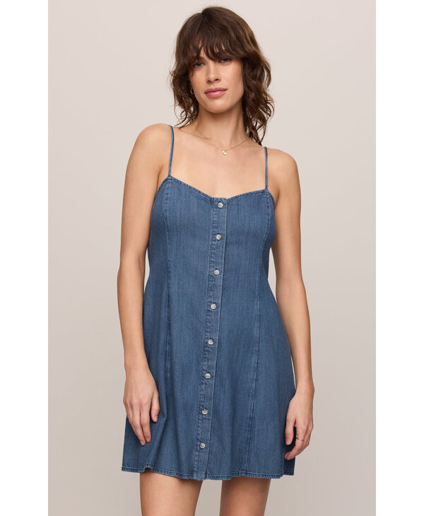 Z Supply Angel Eyes Denim Mini Dress