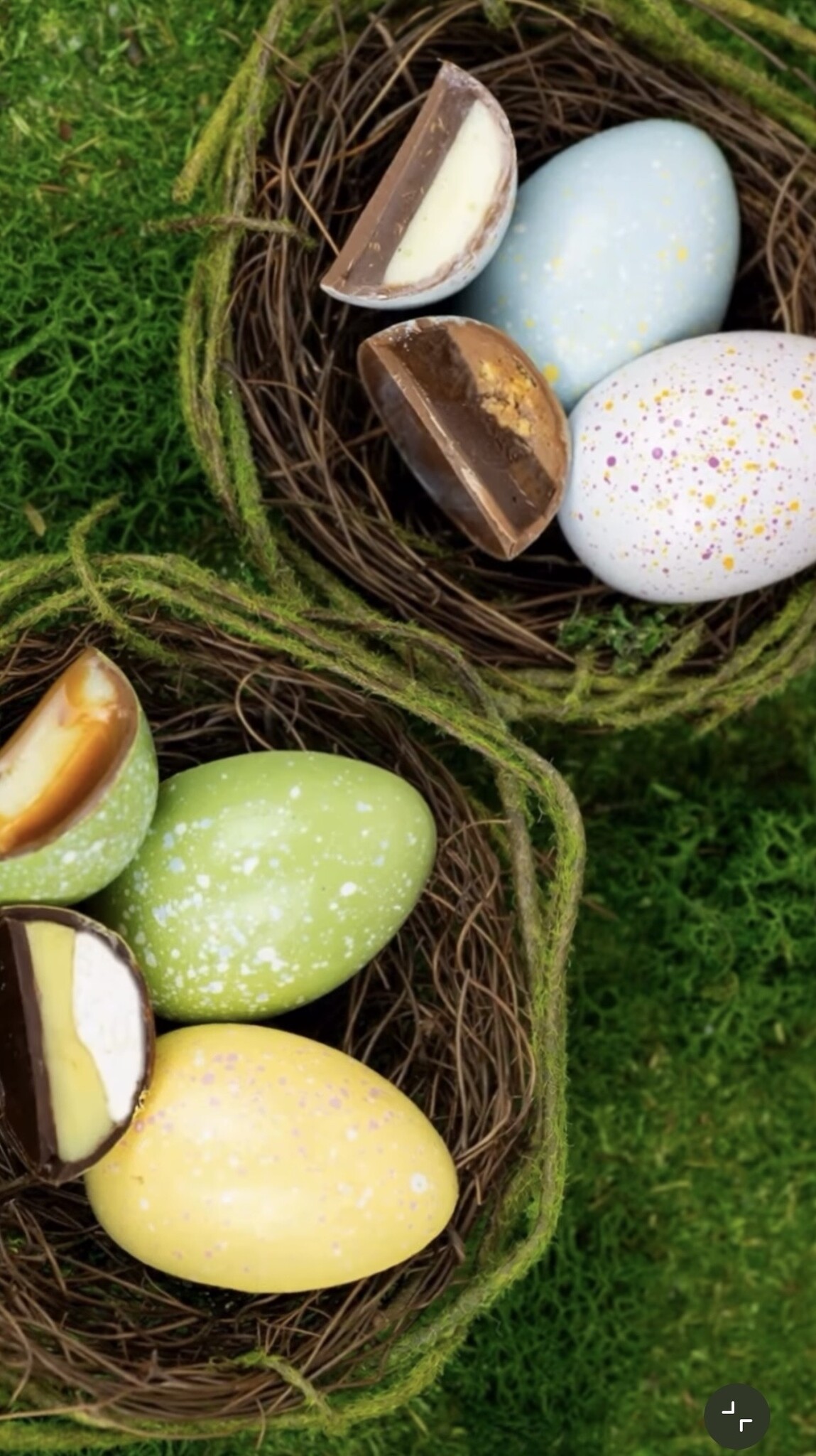 JACEK JACEK Dessert Eggs