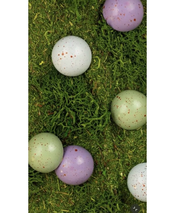 JACEK JACEK Robin Eggs Collection