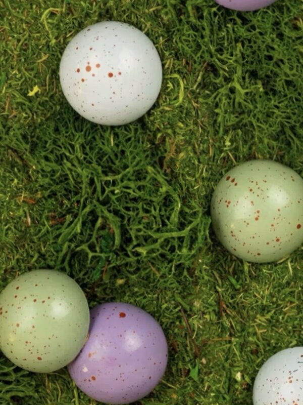 JACEK JACEK Robin Eggs Collection