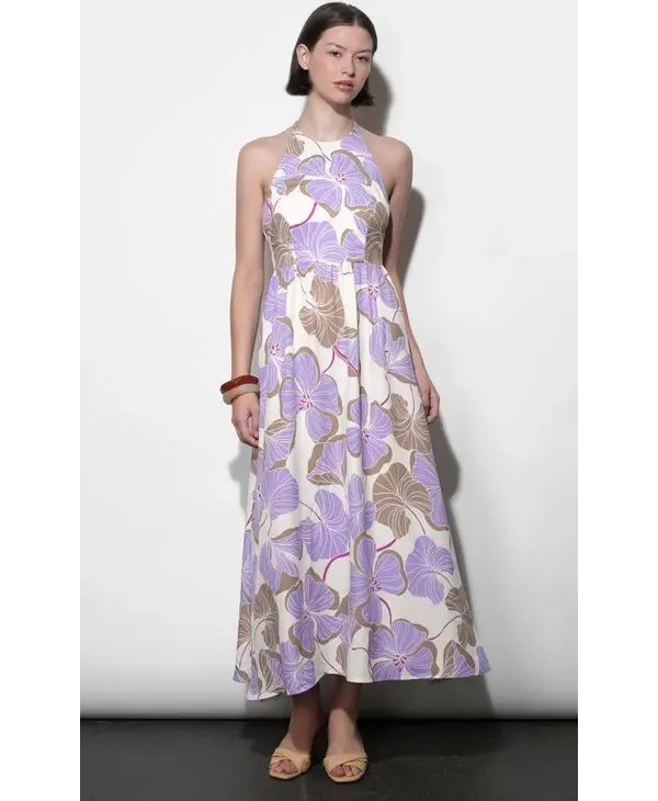 Greylin Ayla Halter Strap Maxi Dress