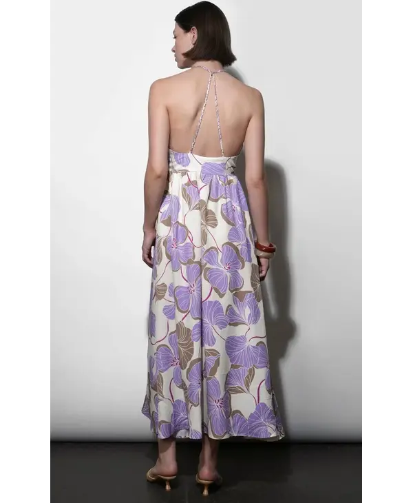 Greylin Ayla Halter Strap Maxi Dress