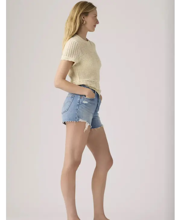 Levi Strauss & Co. 501 Curve Short, Signs of Success