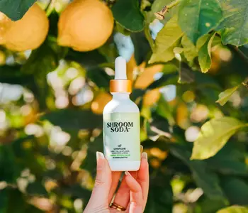 Shroom Soda, Lemon Lime