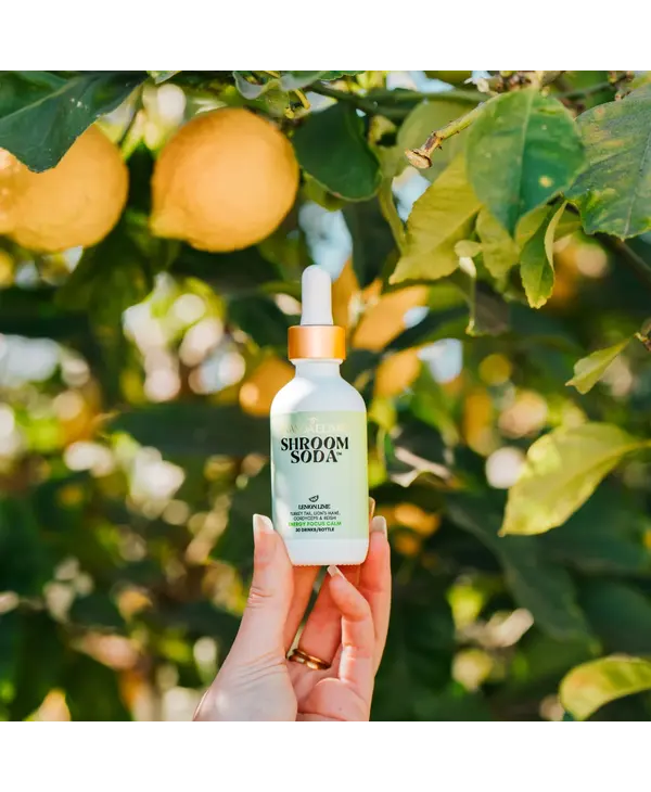 Ananda Elixirs Shroom Soda, Lemon Lime