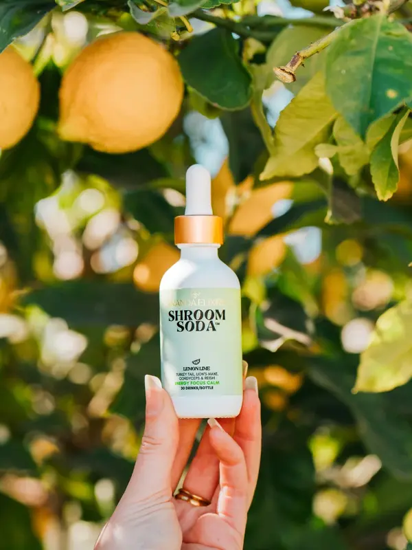 Ananda Elixirs Shroom Soda, Lemon Lime