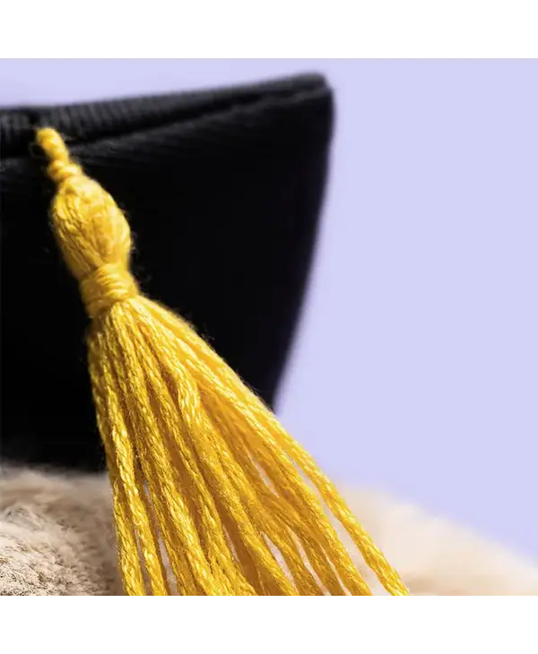 Jellycat Inc. Bashful Bunny Graduation Outfit