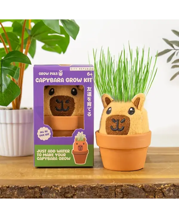 Gift Republic Capybara Grow Pal – All-in-One Grass-Growing Kit
