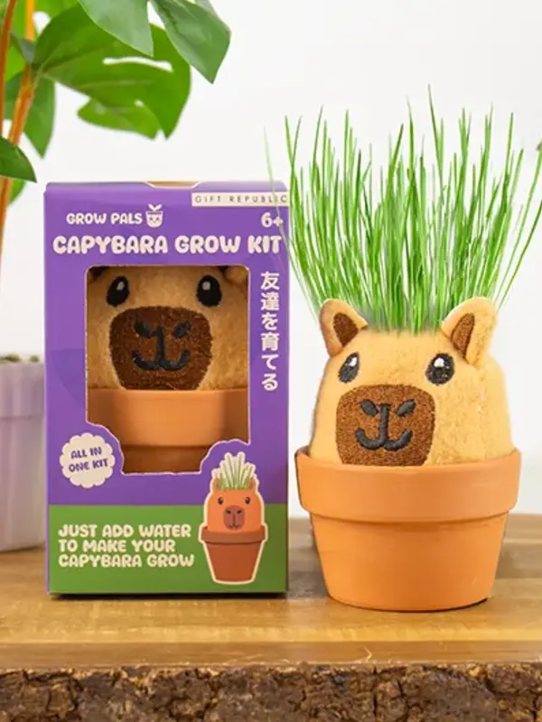 Gift Republic Capybara Grow Pal – All-in-One Grass-Growing Kit
