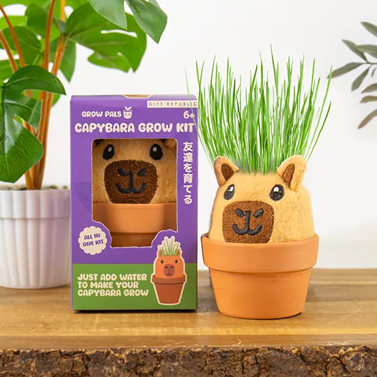 Gift Republic Capybara Grow Pal – All-in-One Grass-Growing Kit