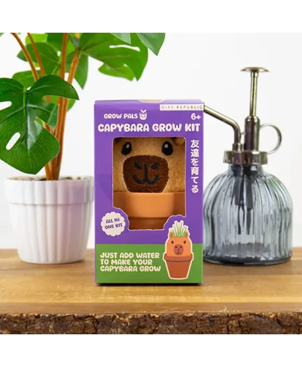 Gift Republic Capybara Grow Pal – All-in-One Grass-Growing Kit