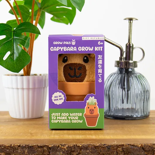 Gift Republic Capybara Grow Pal – All-in-One Grass-Growing Kit