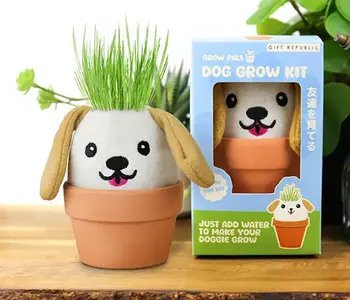 Dog Grow Pal – All-in-One Grass-Growing Kit