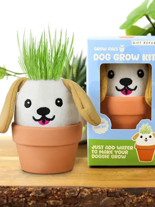 Gift Republic Dog Grow Pal – All-in-One Grass-Growing Kit