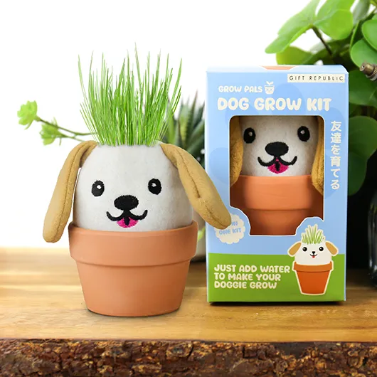 Gift Republic Dog Grow Pal – All-in-One Grass-Growing Kit