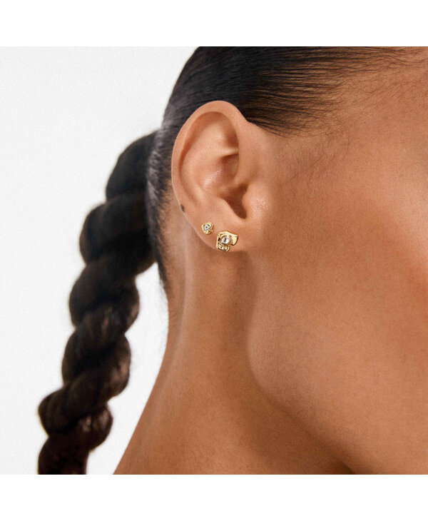 Pilgrim NOVA Earrings 2-in-1 set