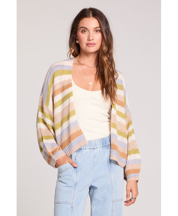 Saltwater Luxe Aden Sweater