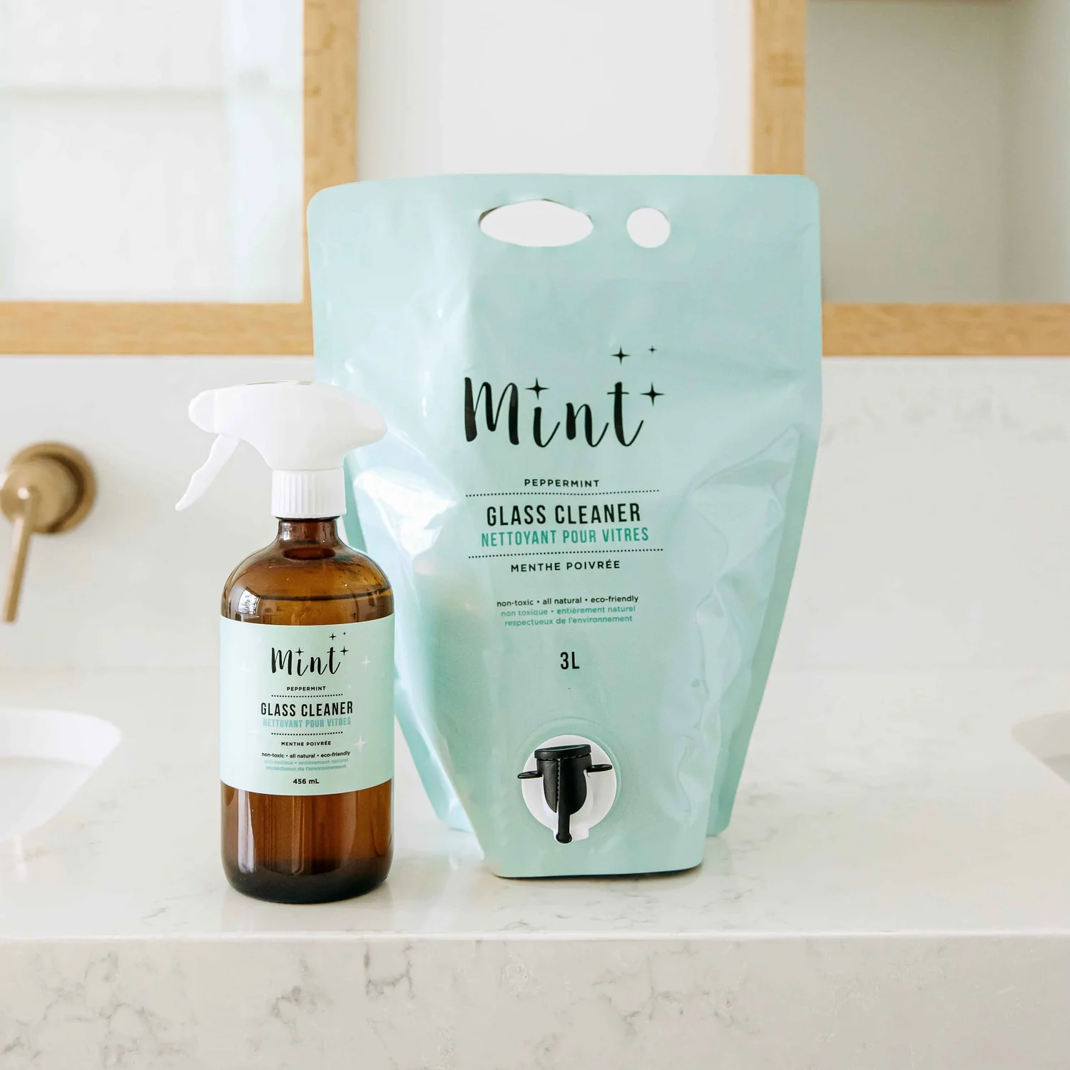 Mint Mint Glass Cleaner Party Pouch