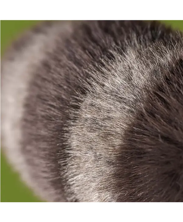 Jellycat Inc. Trixiwoo Raccoon