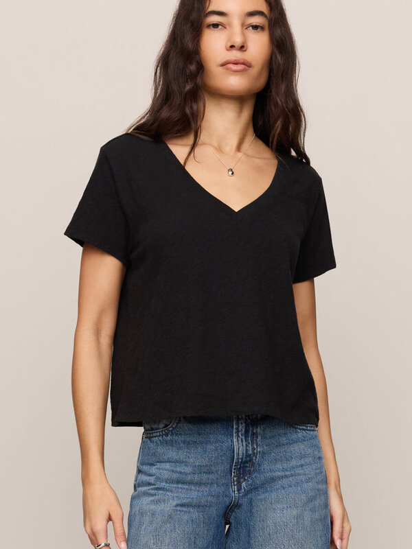 Z Supply Nomad V-Neck Tee