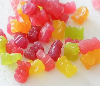 Vegan Bears