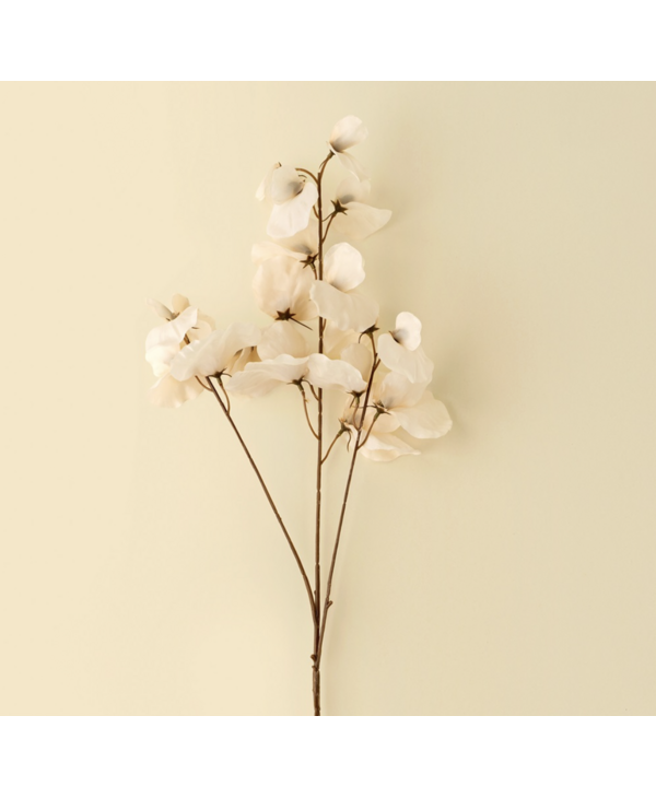 Indaba Trading Co. Sweat Pea Stem