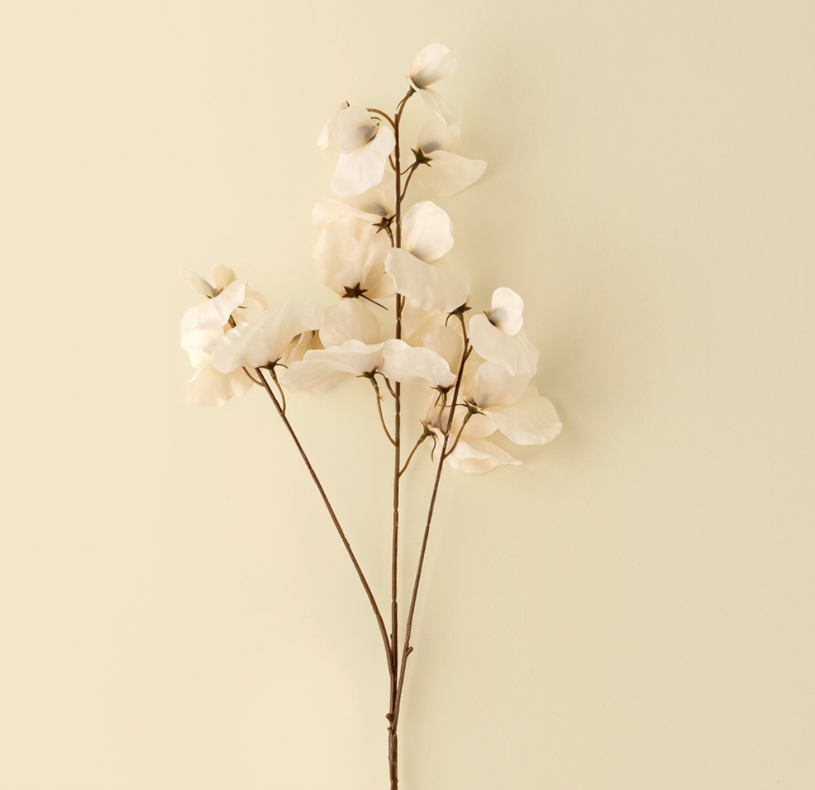 Indaba Trading Co. Sweat Pea Stem
