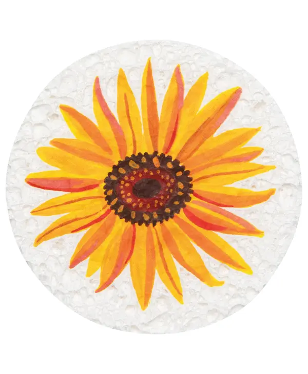 Danica Autumn Bounty Sponge