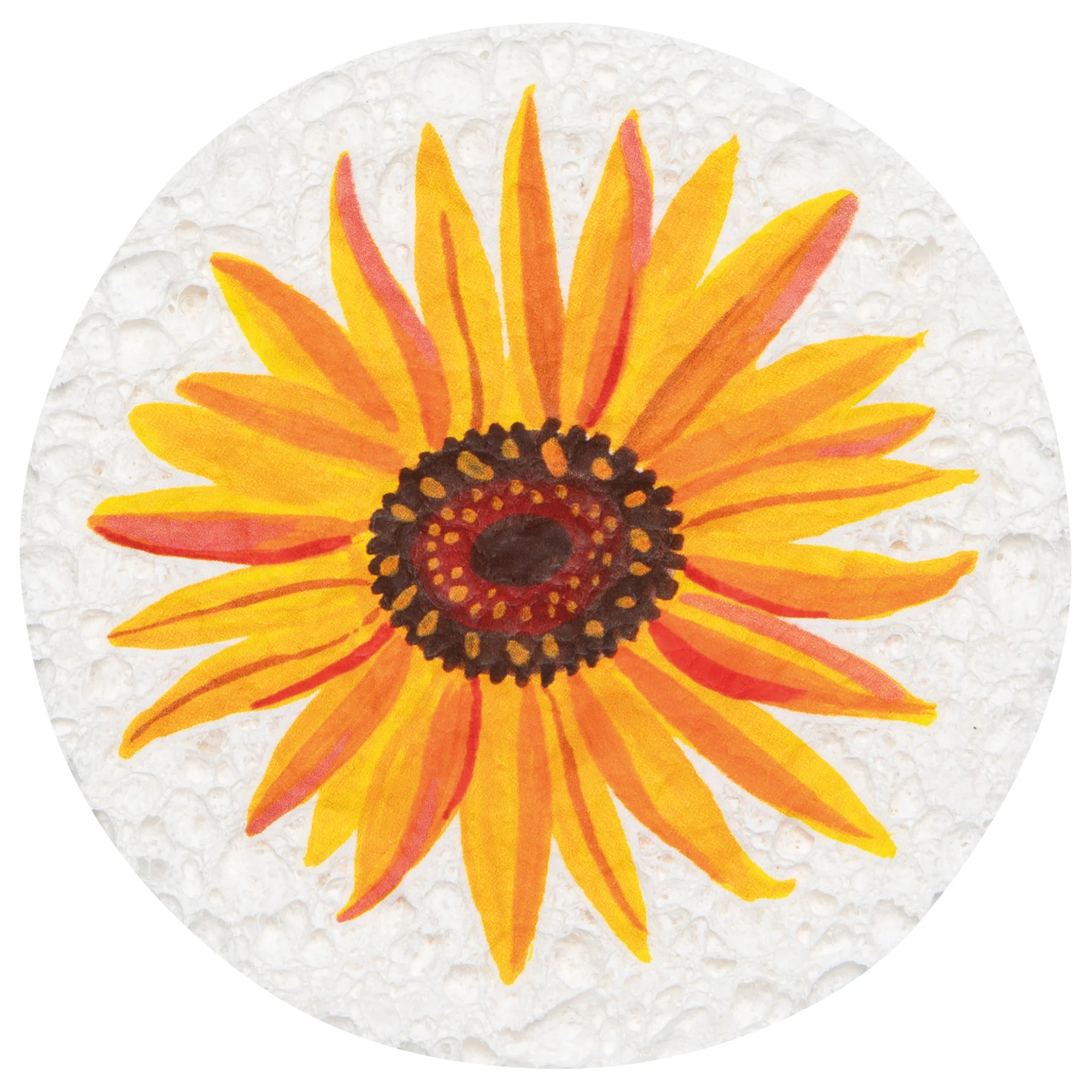 Danica Autumn Bounty Sponge