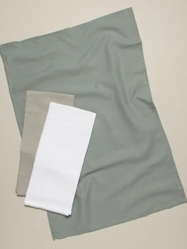 Danica Gray White Moonstruck Floursack Dishtowels Set of 3