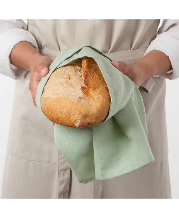 Danica Dawn Eucalyptus Mist Floursack Dishtowels Set of 3