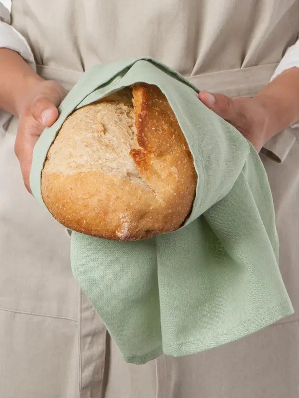 Danica Dawn Eucalyptus Mist Floursack Dishtowels Set of 3