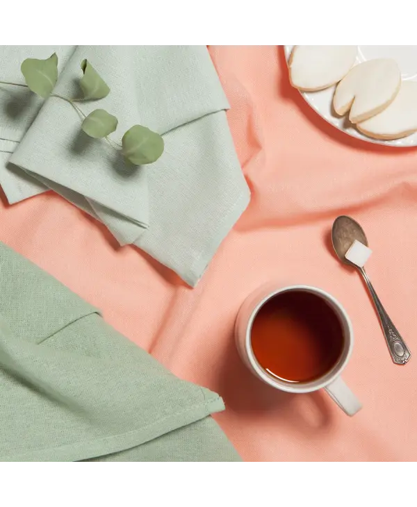 Danica Dawn Eucalyptus Mist Floursack Dishtowels Set of 3