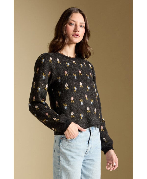 Saltwater Luxe Margow Sweater