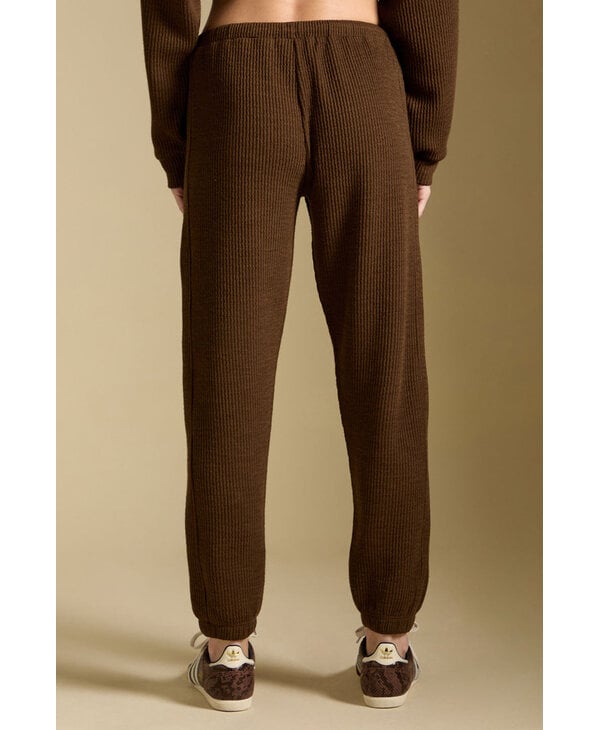 Saltwater Luxe Pull On Jogger Pant