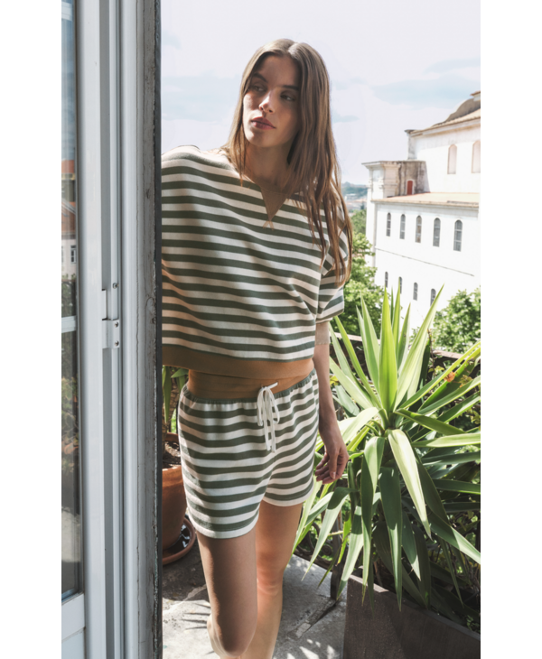 Z Supply Low Key Stripe Short