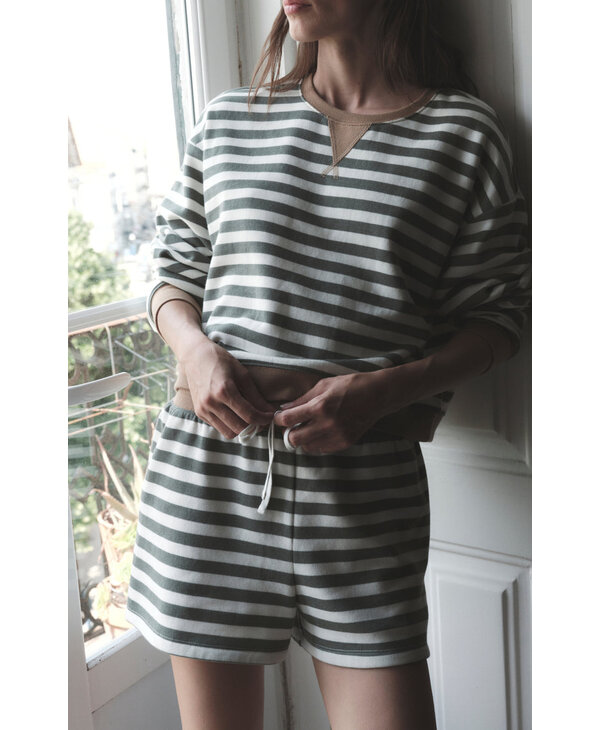 Z Supply Low Key Stripe Short