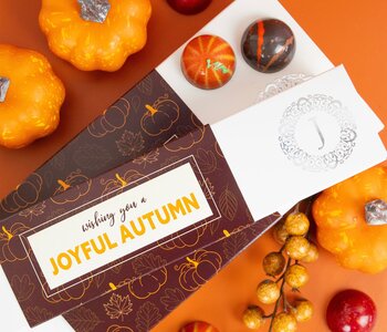 JACEK Autumn Collection, 6pc