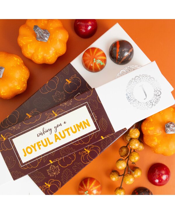 JACEK JACEK Autumn Collection, 6pc