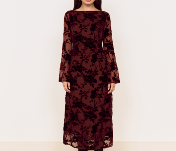 Anouk Velvet Midi Dress