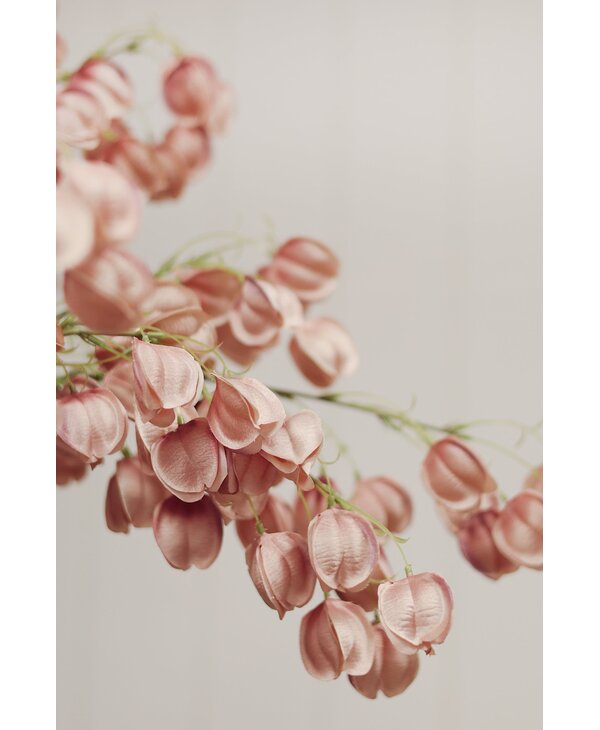 Indaba Trading Co. Lantern Flower Stem, Dusty Pink
