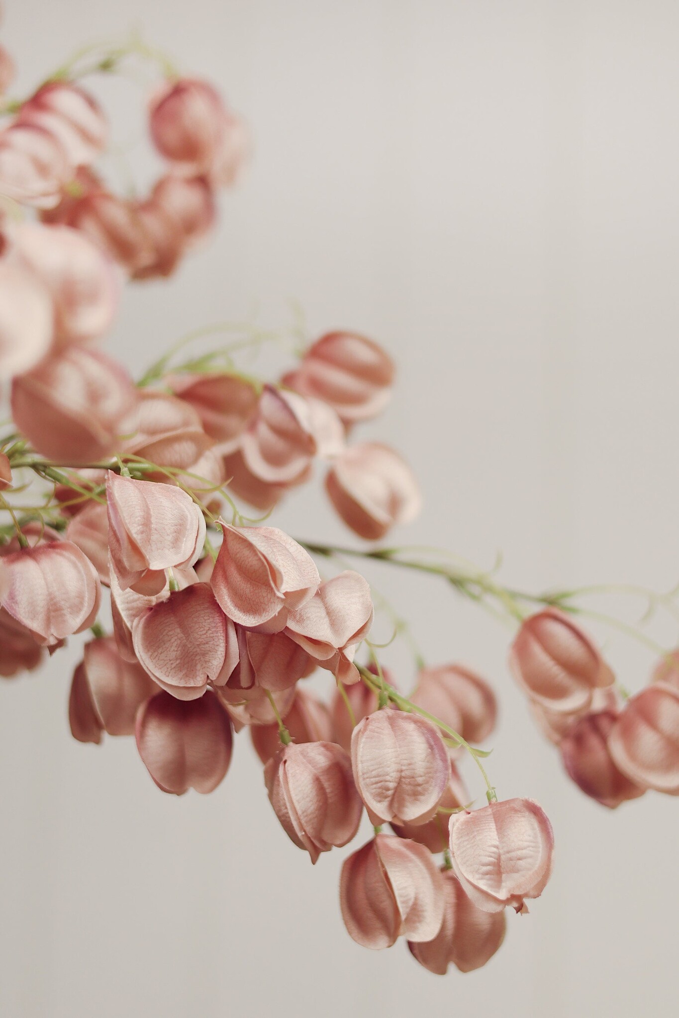 Indaba Trading Co. Lantern Flower Stem, Dusty Pink