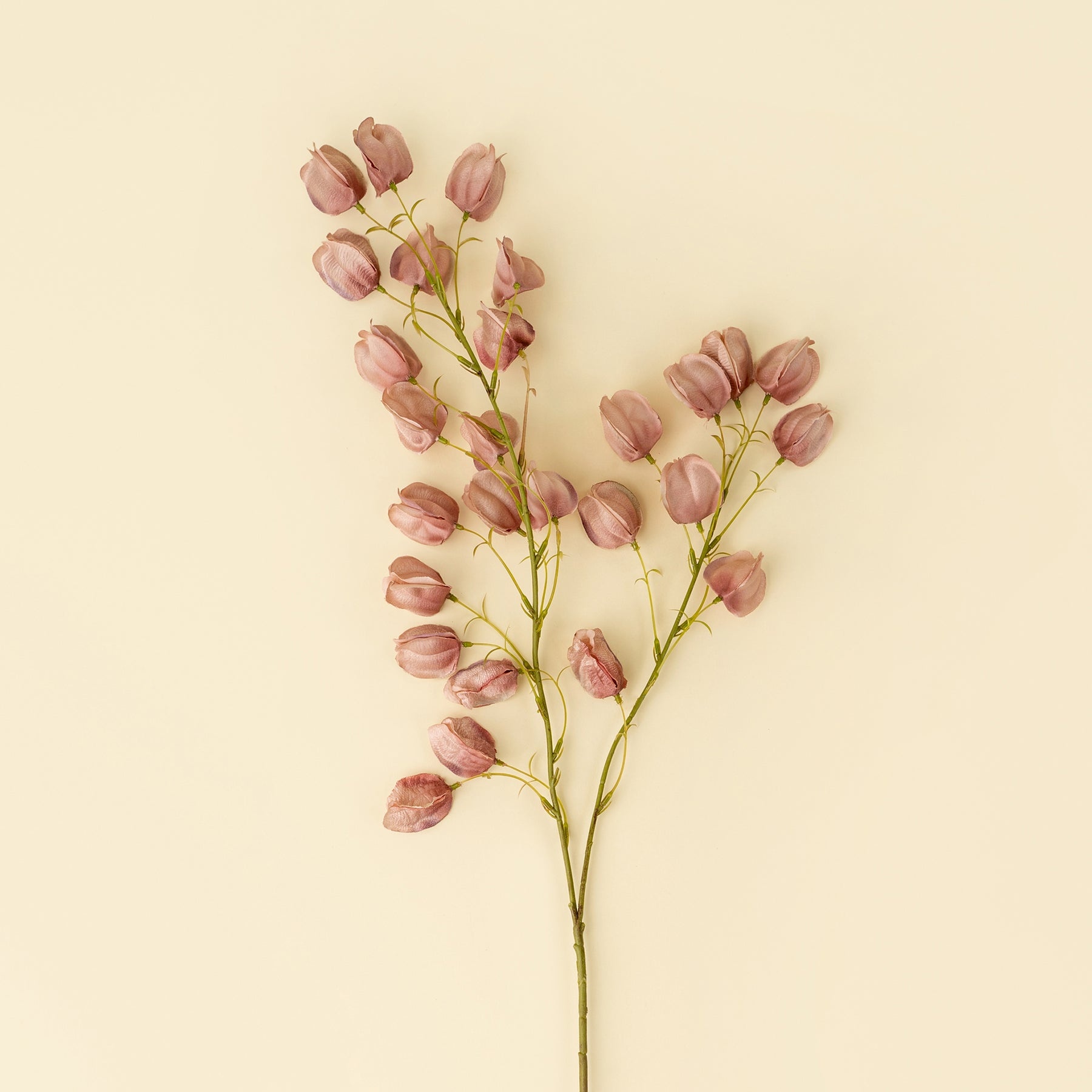 Indaba Trading Co. Lantern Flower Stem, Dusty Pink