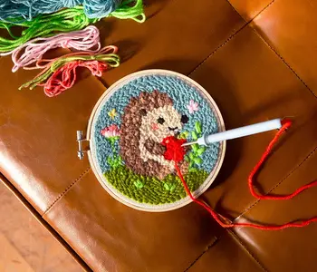 Hedgehog Punch Needle