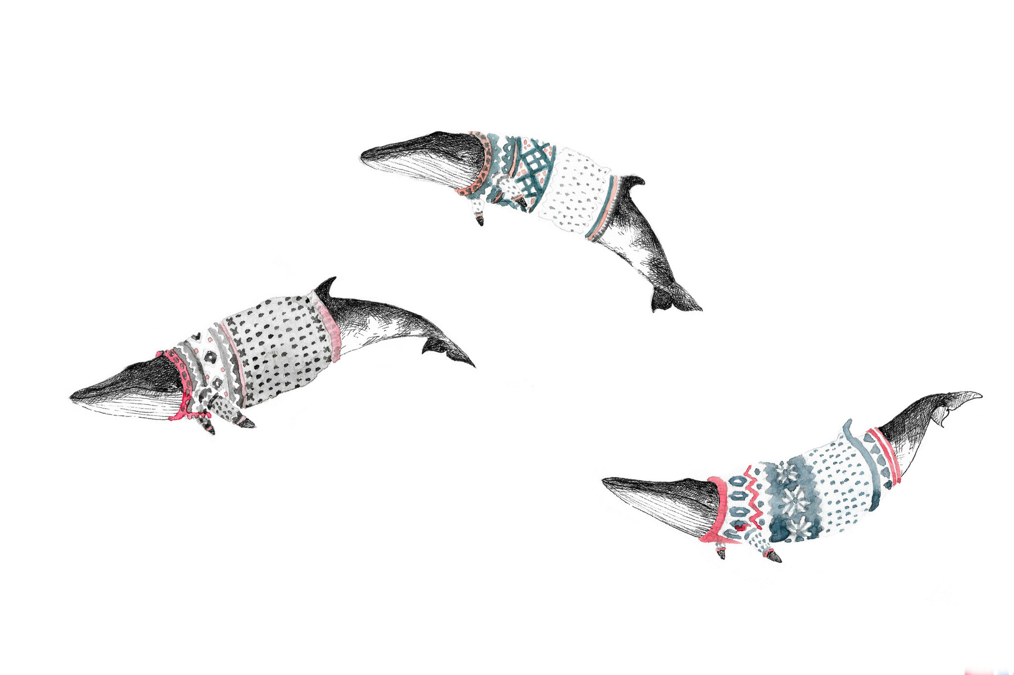 Natasha van Netten Art Card - Cocoon - Minke Whales