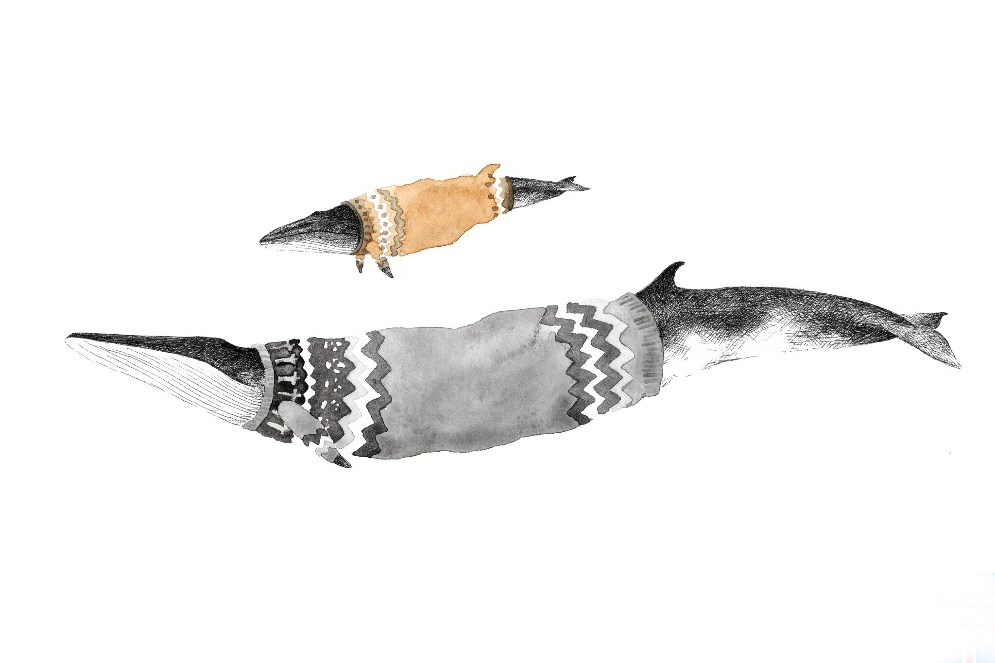 Art Card  Cocoon - Minke & Fin Whales