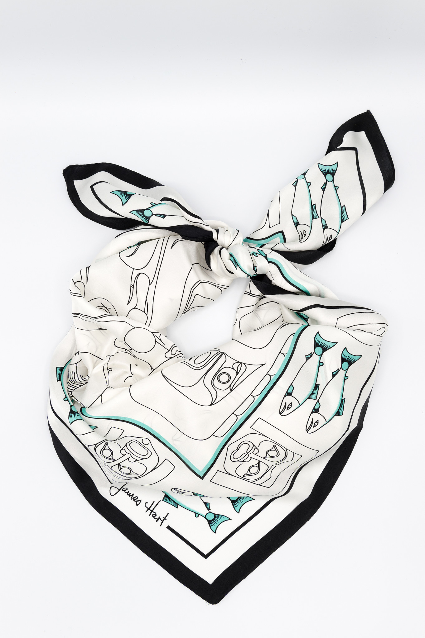 AAM Collection Silk Scarf - The Dance Screen - James Hart